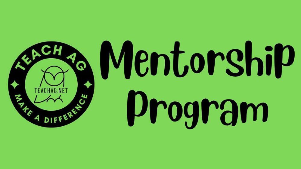 Mentorship Program