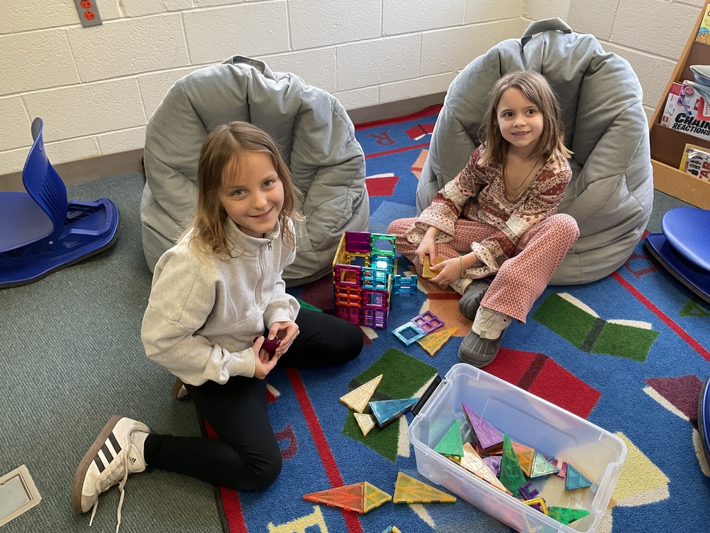 Build a Bridge! In Design Technology, students completed an engineering challenge by working together to design bridges strong enough to support a toy car. 