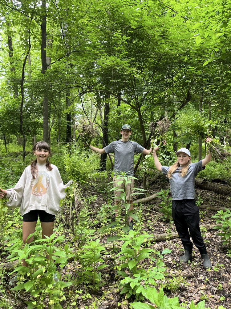 land lab