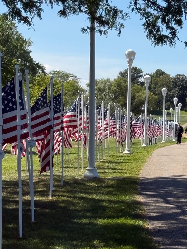 flags