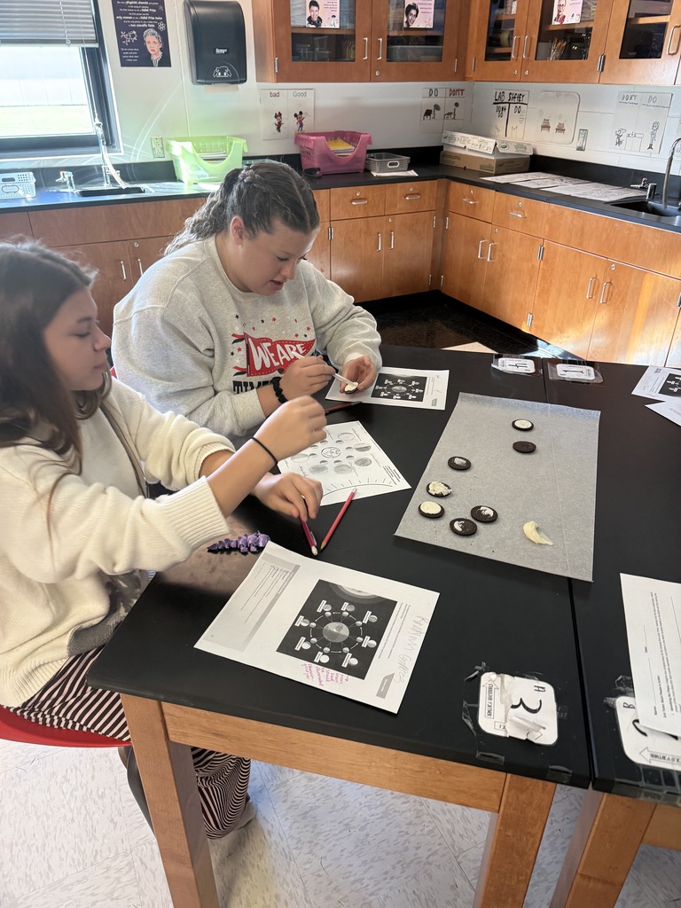 Two students sit at a table, working on a project. One holds a pencil and a paper. A board, papers, and shells are on the table. A sink and cabinets are behind them.