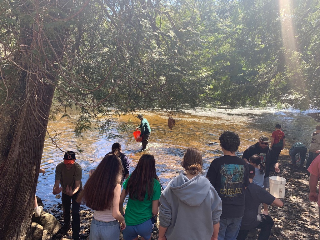 Trout Stocking