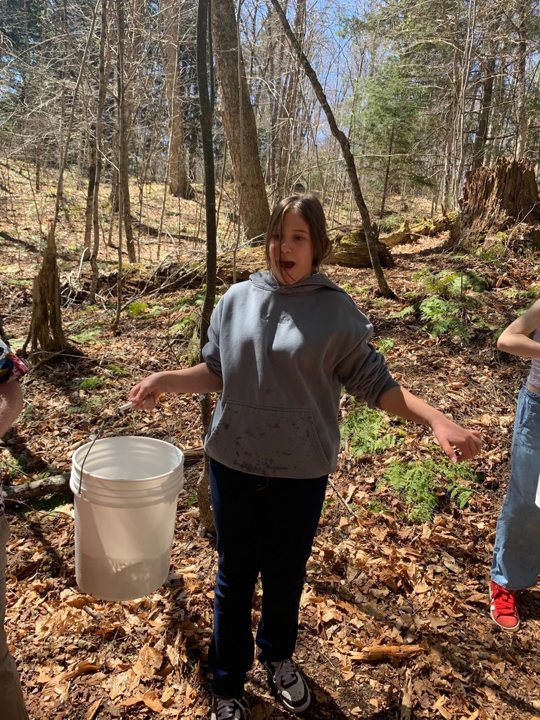 Trout Stocking