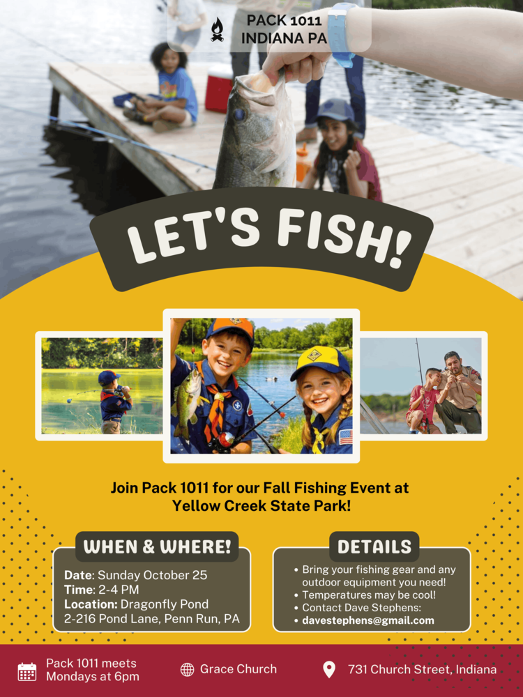 scouts flyer