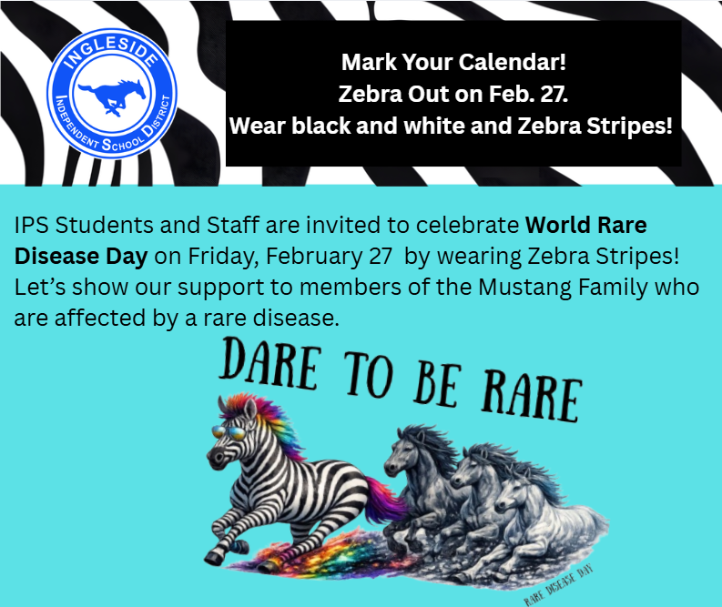 colorful zebra running ahead of wild mustangs.