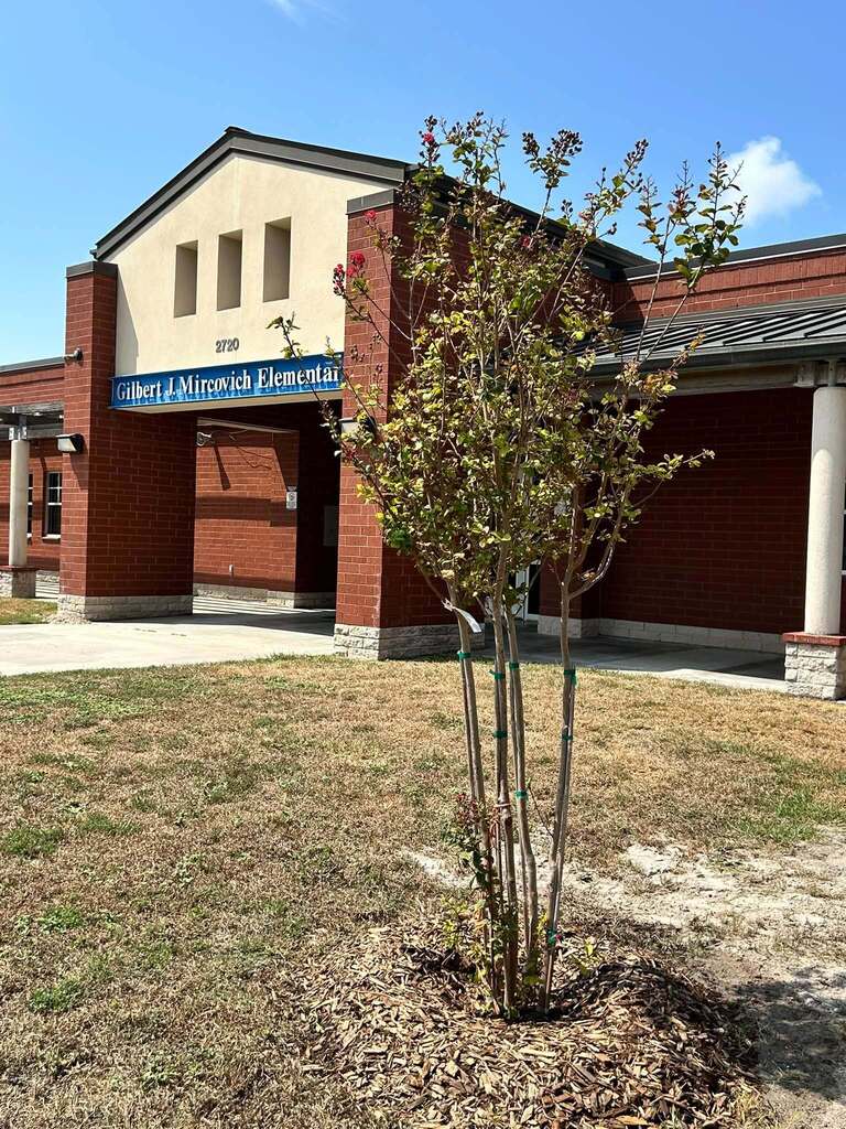 Exterior of a building with red brick walls and white trim. A small tree is planted in front of it.