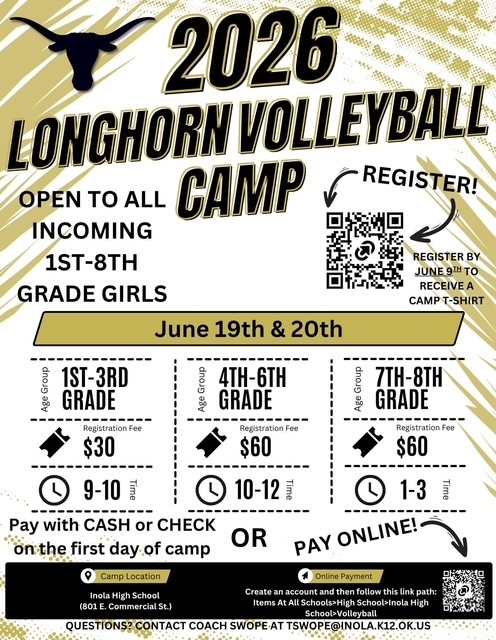 Volleyball Camp