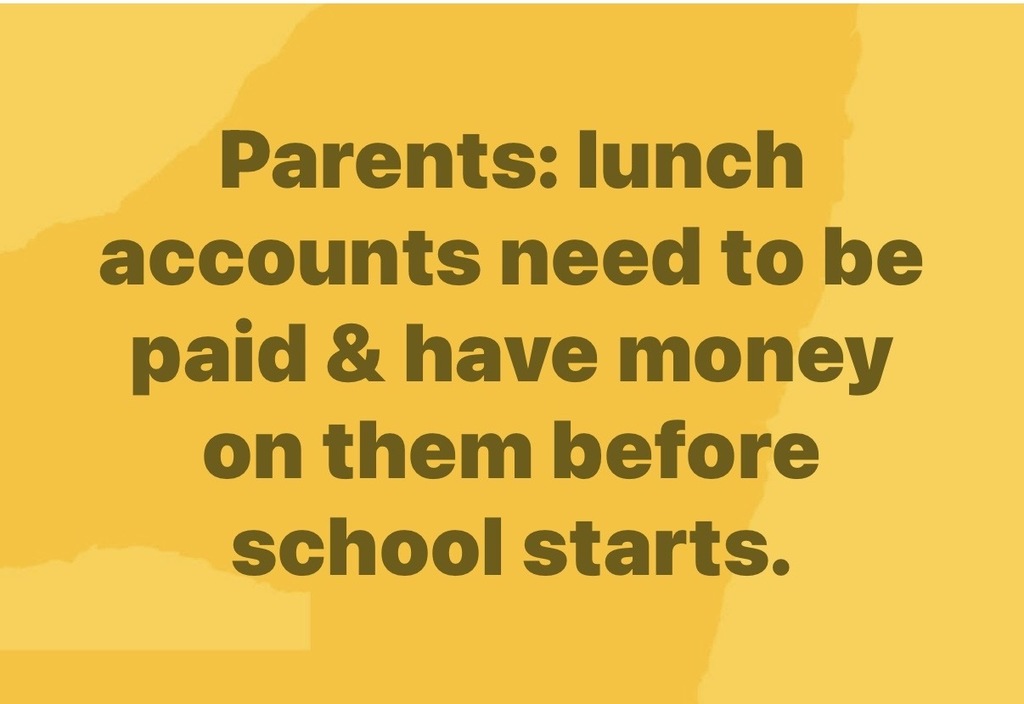 Lunch Accounts