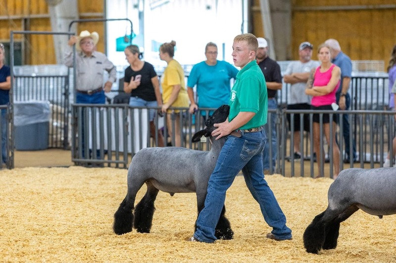 Wyatt McCleery