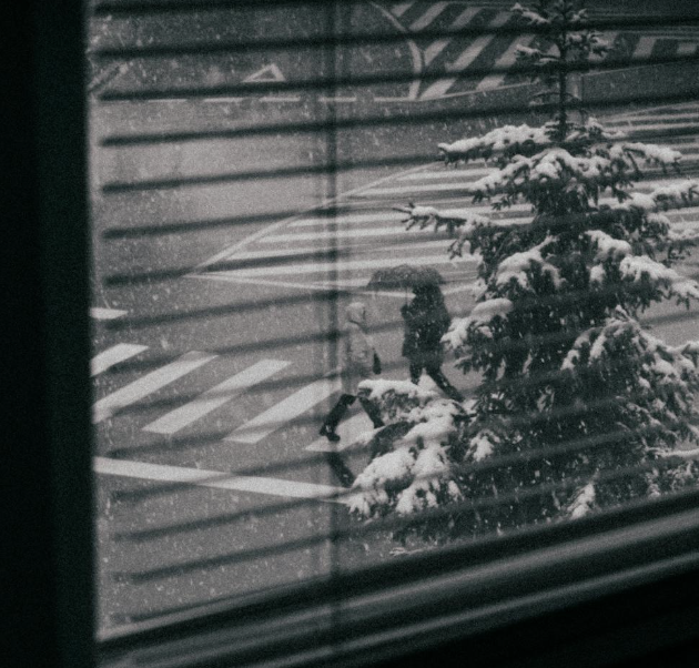 A snowy urban street viewed from inside through window blinds.