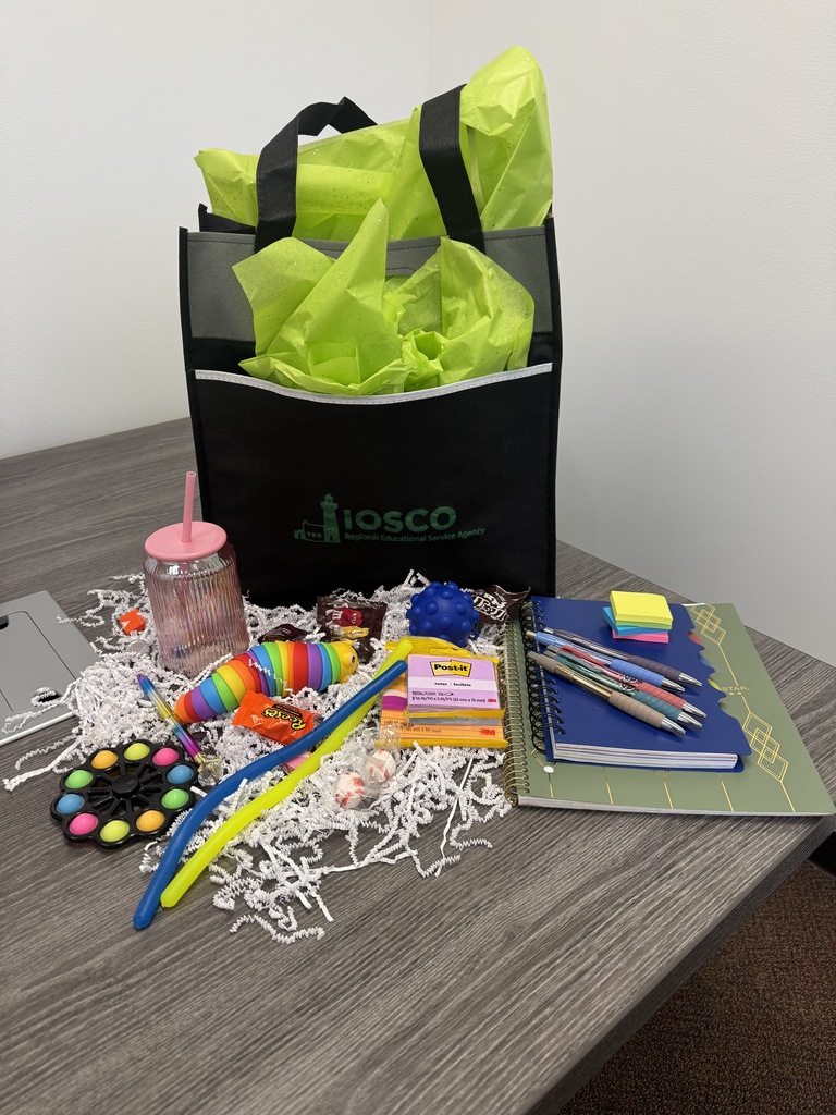 Image showing the drawing prize: an Iosco RESA Bag with fidgets, post-it notes, a planner,  a notebook, pens, and a cup.