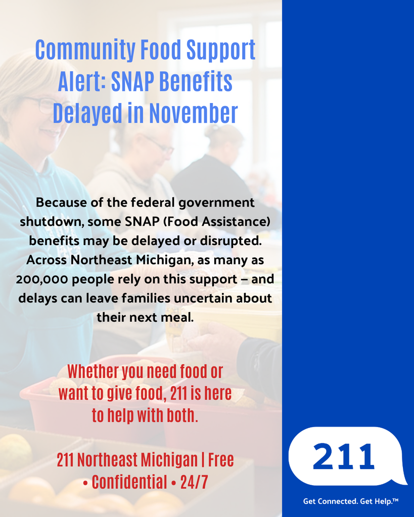snap benefits image 211 northeast michigan 