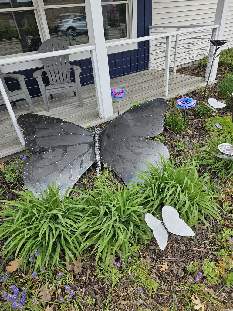 butterflies