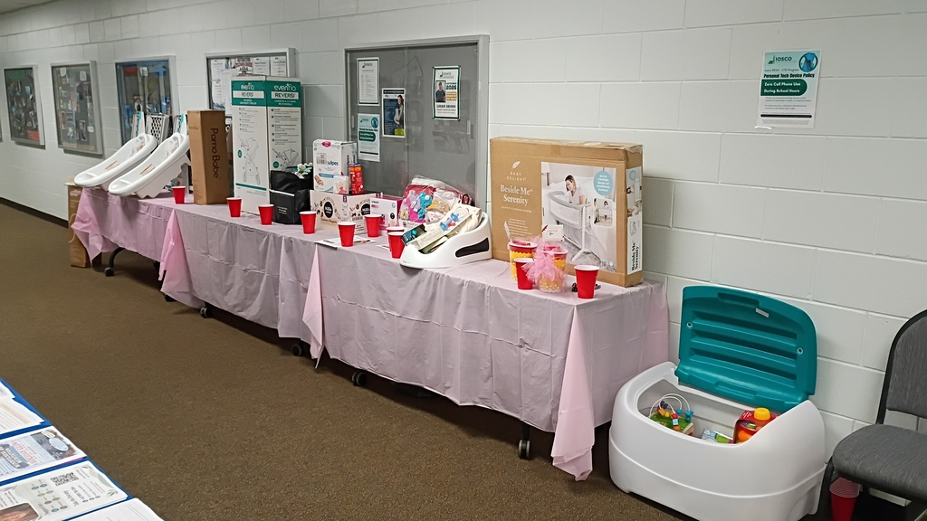 Bump to Baby Expo