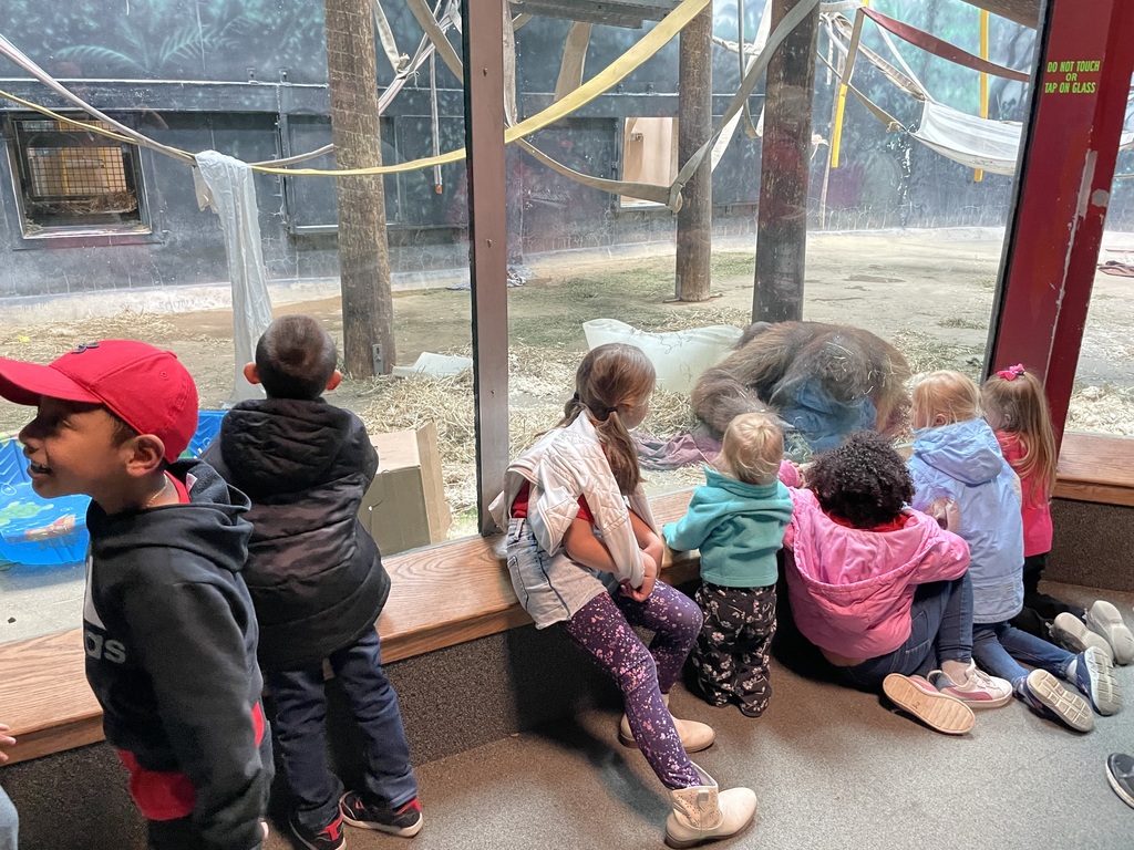Kindergarten zoo trip