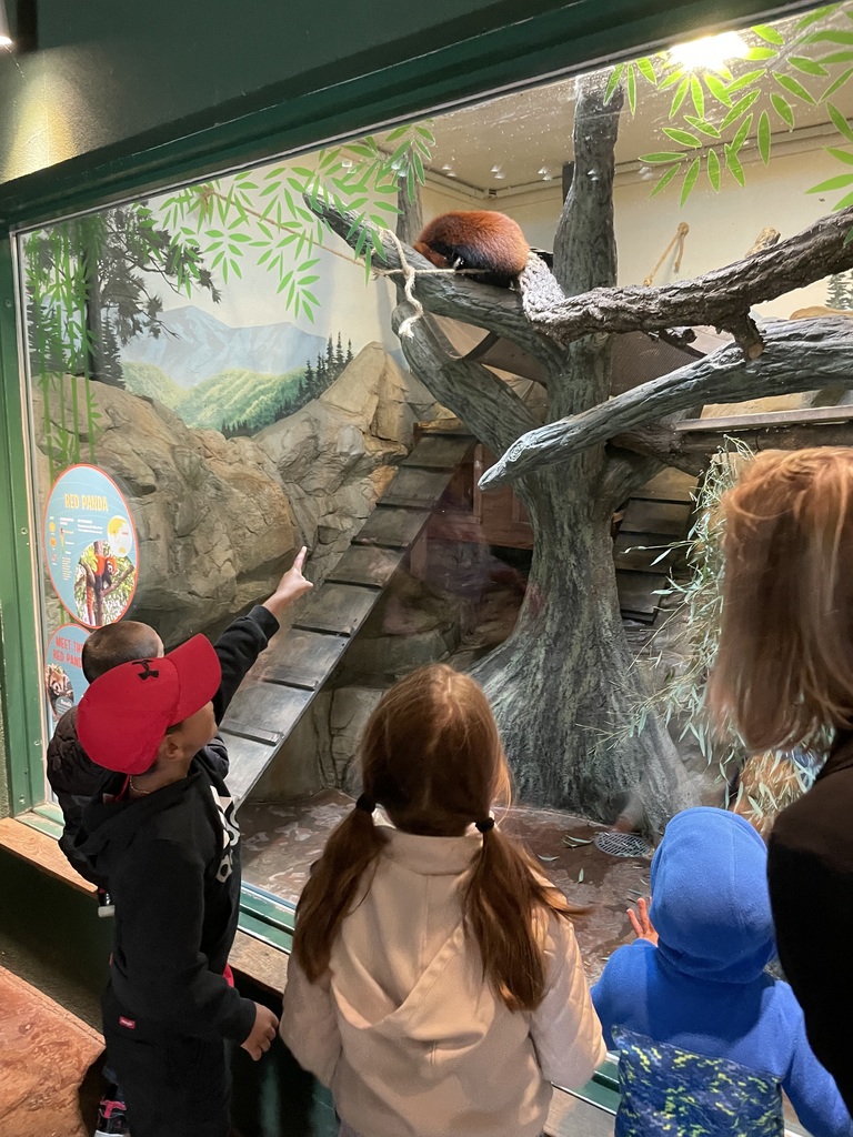 Kindergarten zoo trip