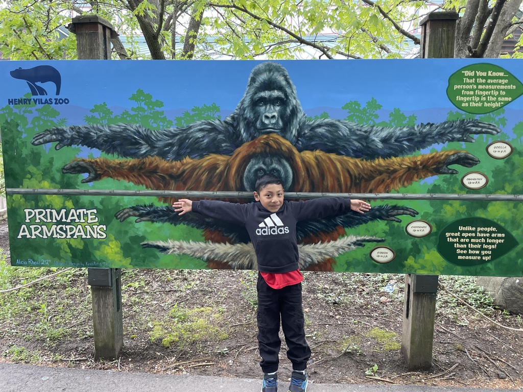 Kindergarten zoo trip