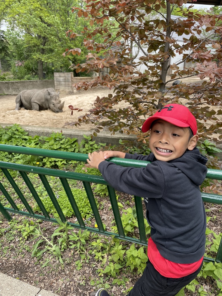 Kindergarten zoo trip