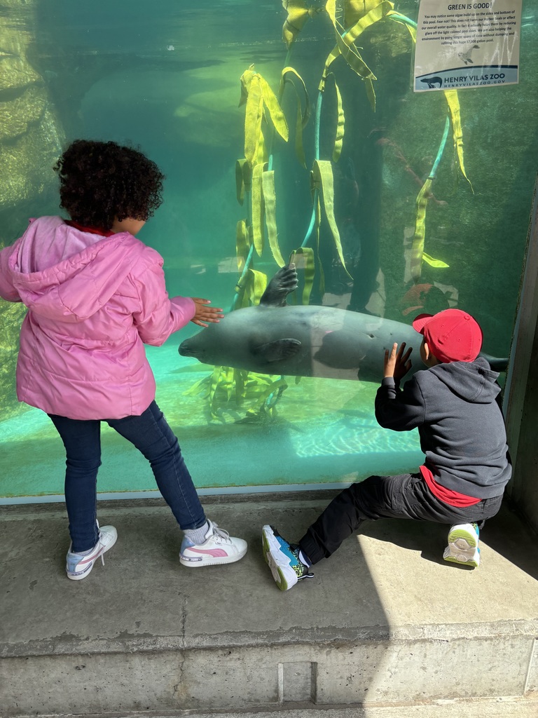 Kindergarten zoo trip