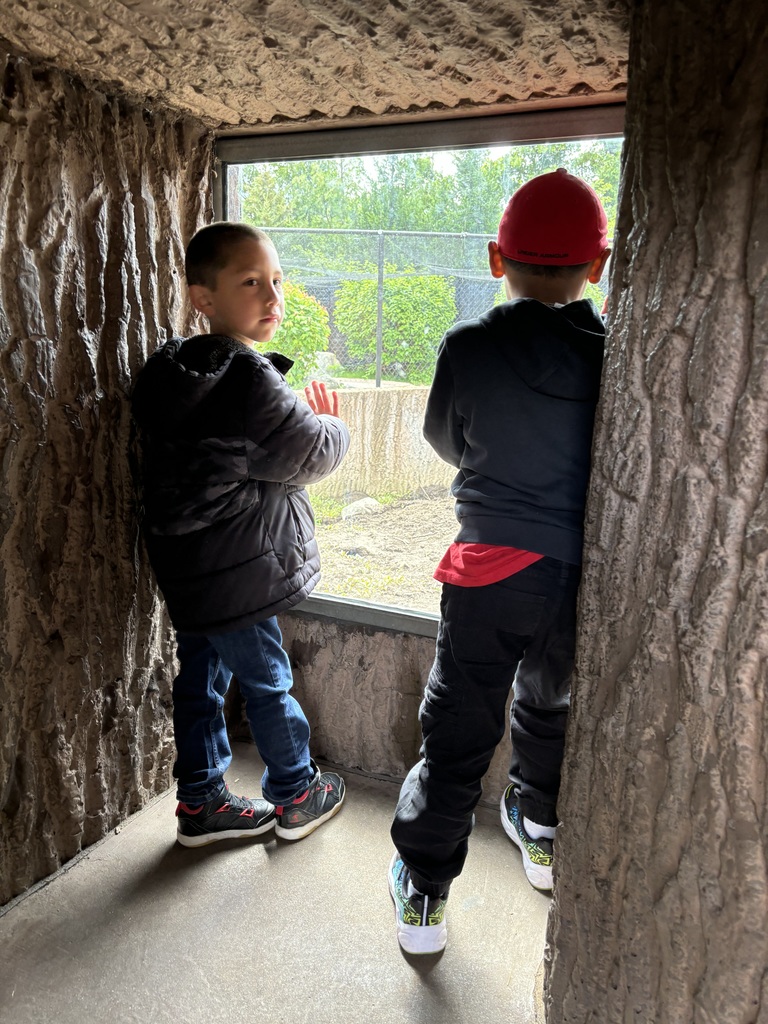 Kindergarten zoo trip