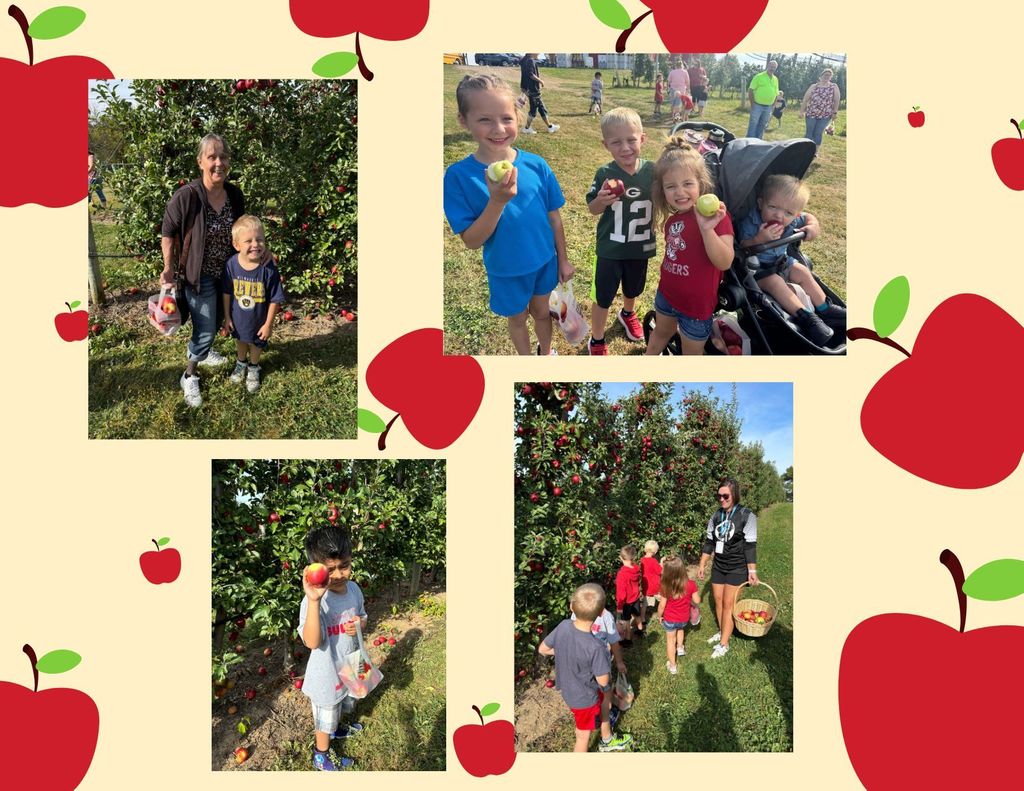 Apple orchard