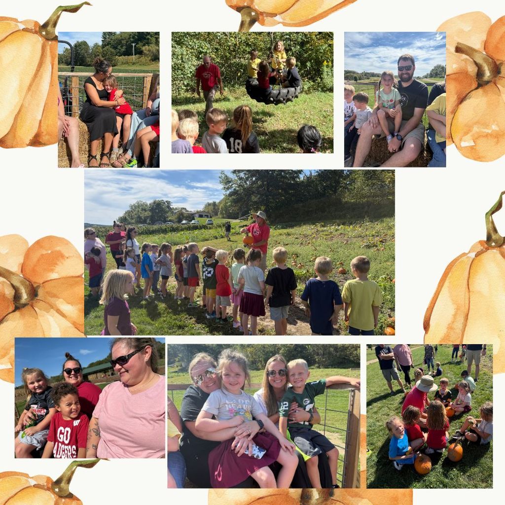 Pumpkin patch