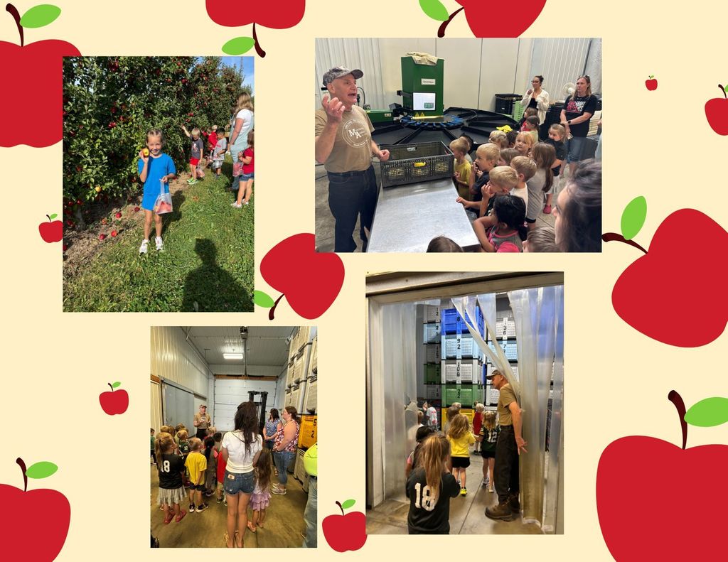 Apple orchard
