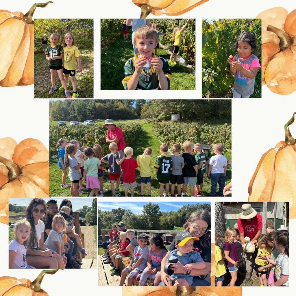 Pumpkin patch
