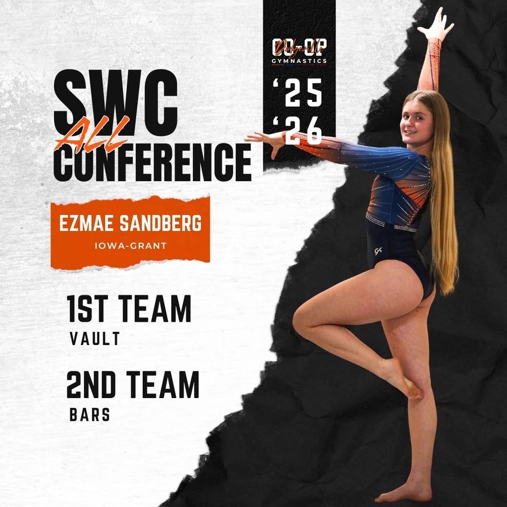 GYMNASTICS ALL CONFERENCE