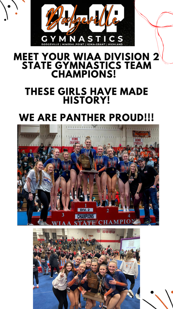 State Gymnastics Team Winner