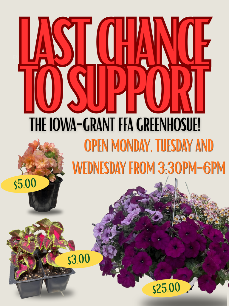 last chance