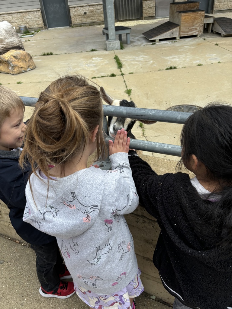 zoo trip