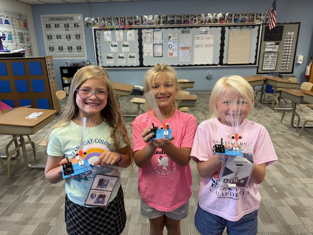 Students with finished electrical circuits