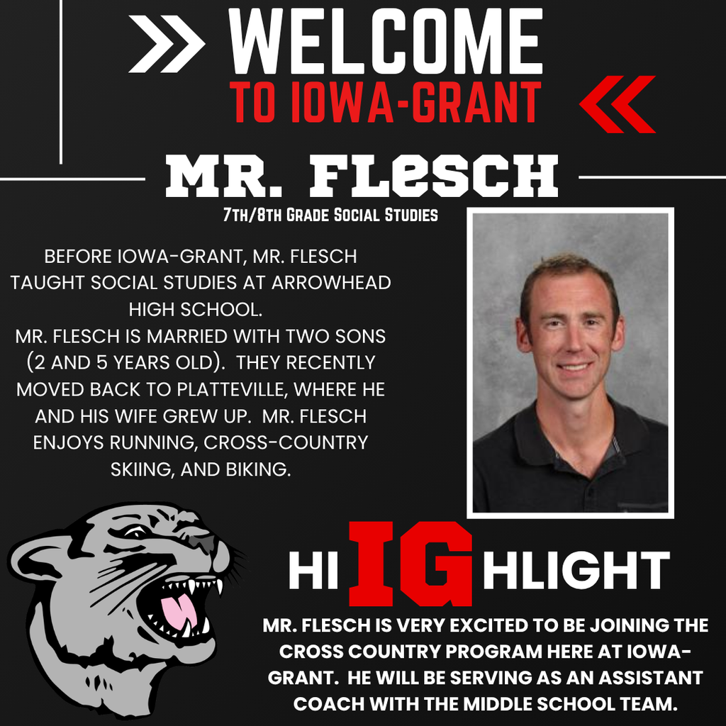 Mr Flesch