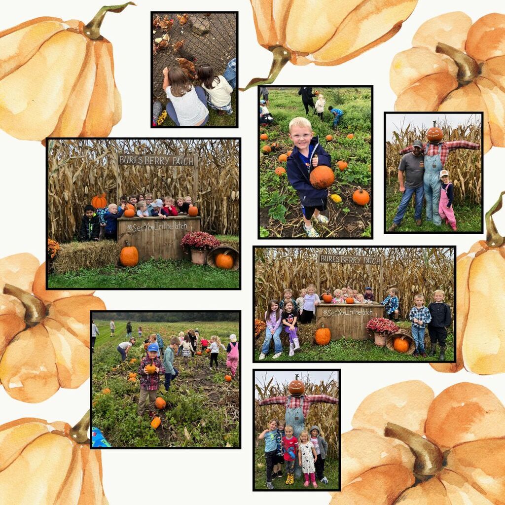 Pumpkin patch