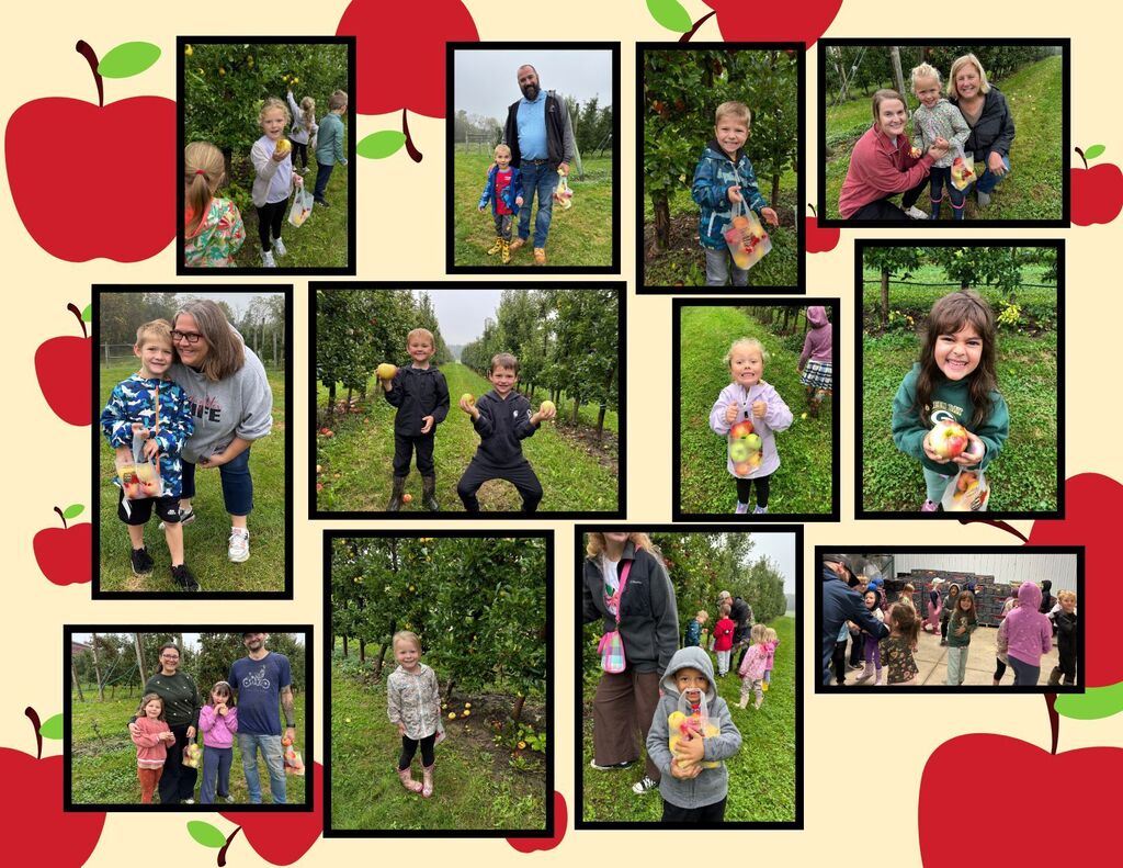 apple orchard