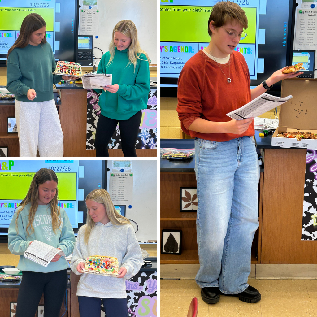 Anatomy Integumentary System Project