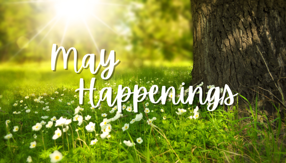 Picture of flowers and the sun