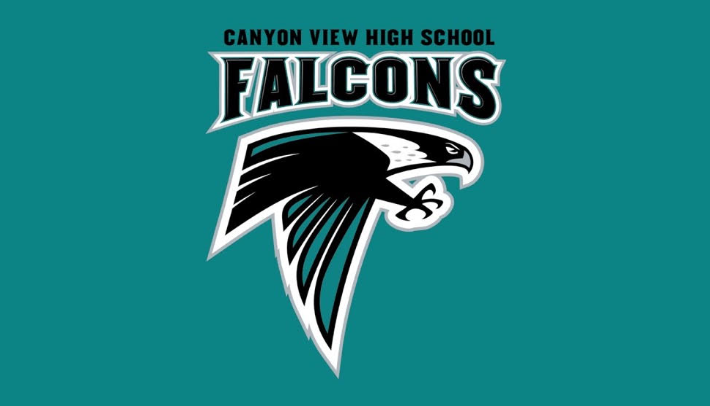 cvhs logo