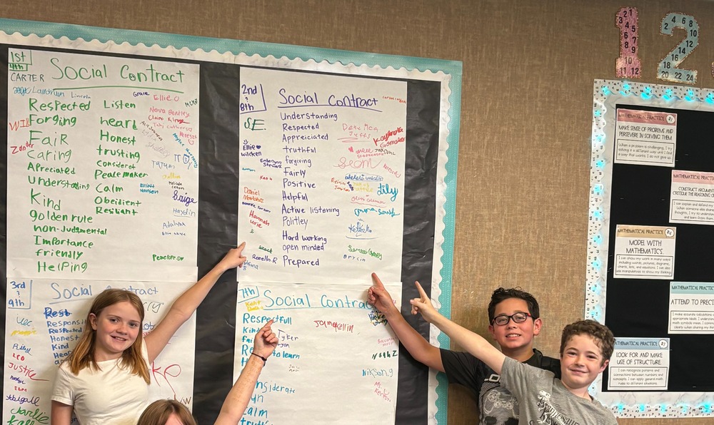 pic of social contract