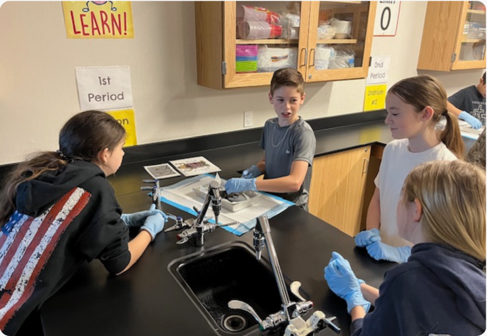 pic of students dissecting frogs