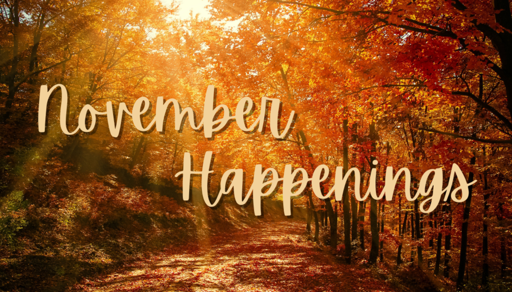 Picture of fall leaves on trees