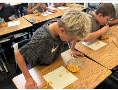 students participating in math games