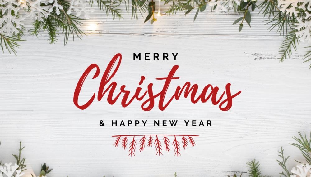 Picture of pine needles