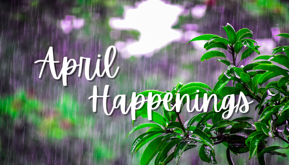 Picture of plants in the rain