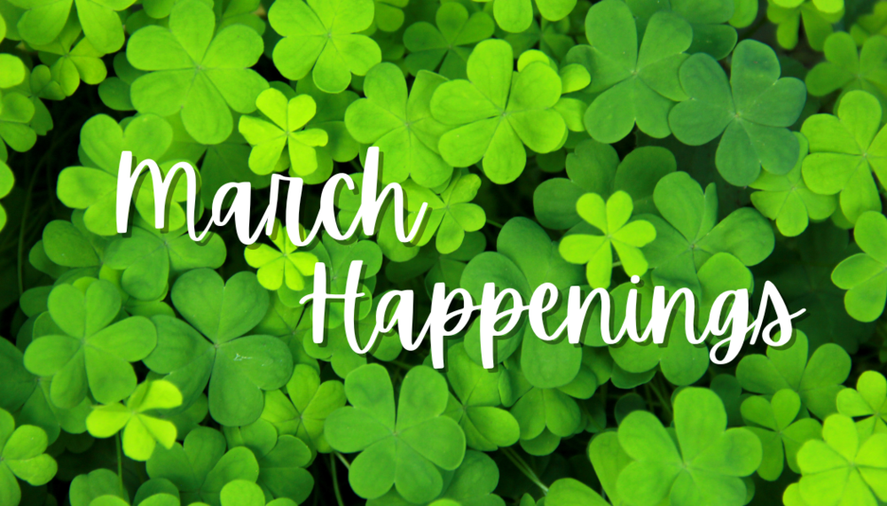 Picture of 4 leaf clovers