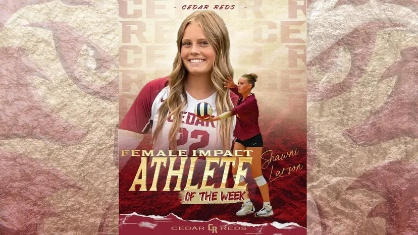 Volleyball Impact