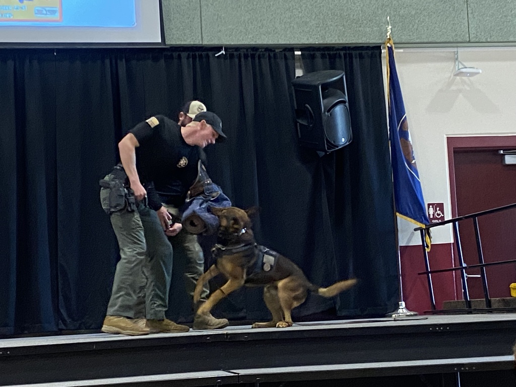 Dog helping apprehend