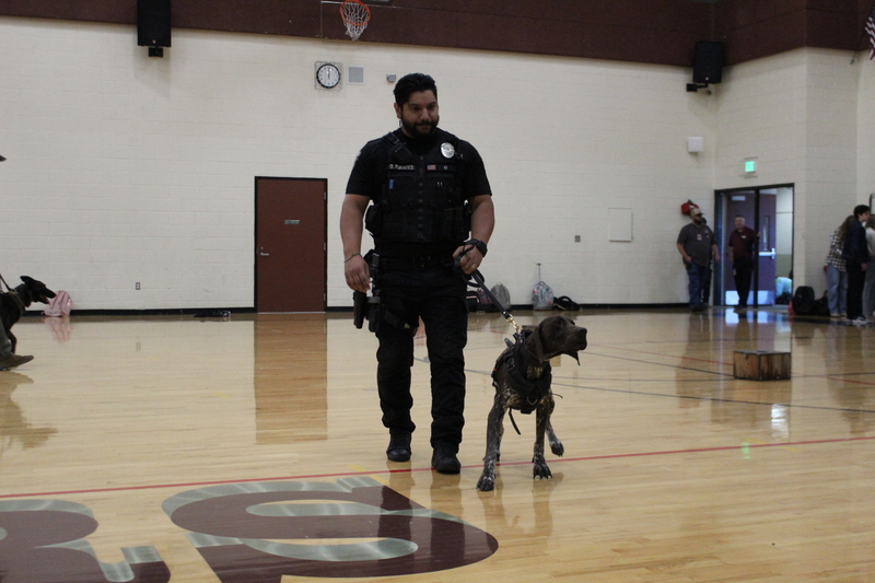 K9 Officer