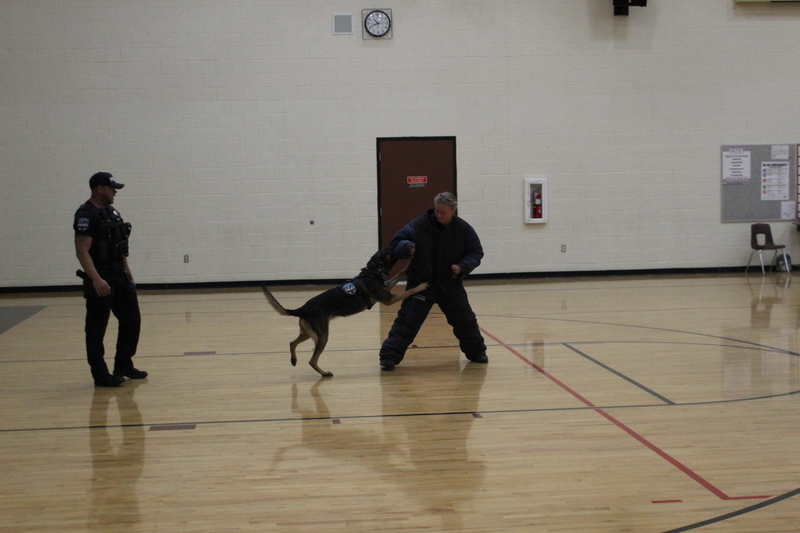 k9 officer and dog